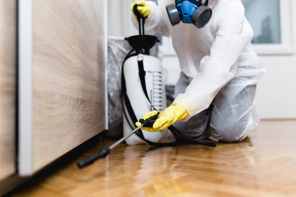 Best Best Pest Control Companies  in Fraser, MI