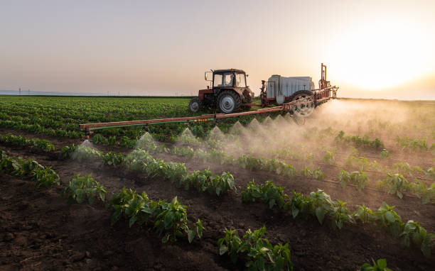 Reliable Fraser, MI Pest Control Solutions