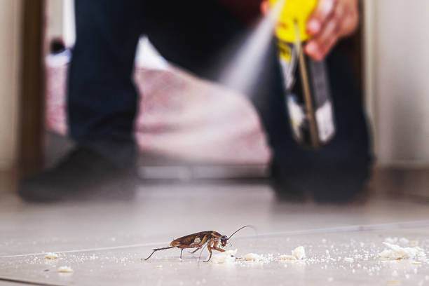 Reliable Fraser, MI Pest Control Solutions