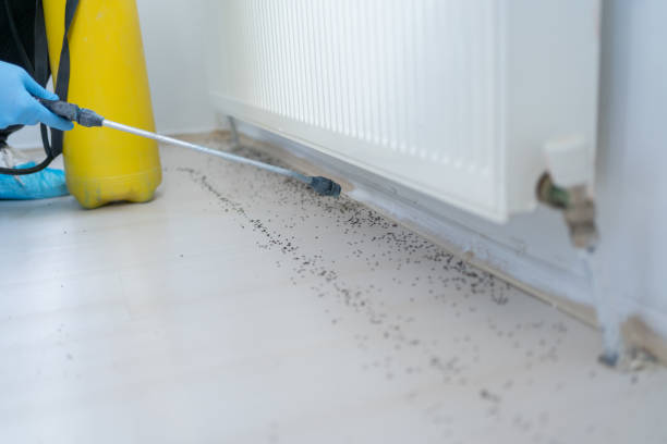 Best Residential Pest Control  in Fraser, MI