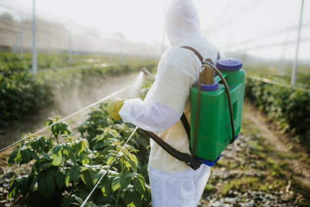Best Pest Removal Services  in Fraser, MI